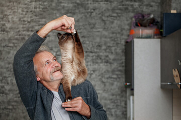 Senior man plays with siamese cat in the kitchen close up