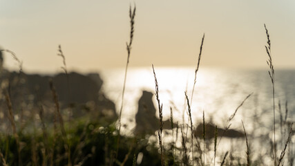 Espectacular vista, playa rocosa, costa del mar