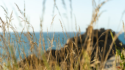 Fototapeta premium Espectacular vista, playa rocosa, costa del mar