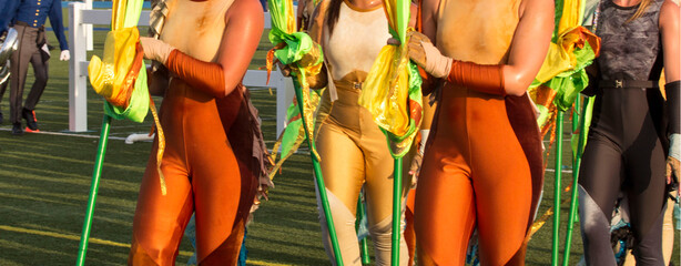 Marching band flag twirler.  woman dancer in costumes on a field with a marching band.