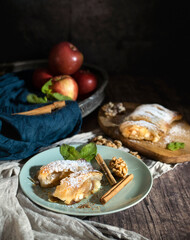Traditional pieces of apple strudel with cinnamon, grits, powdered sugar and mint.