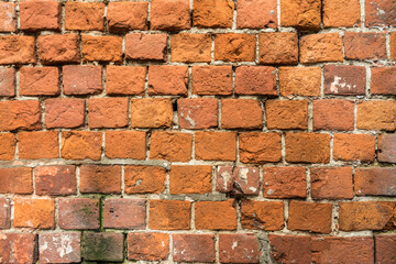 Obraz premium red brick wall background with copy space