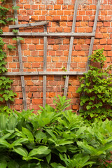 Obraz premium brick wall background with flowers. Beautiful old front doorway brick house.
