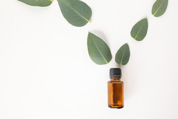 Flat lay image of amber essential oil bottle surrounded with eucalyptus gum leaves creating a...