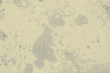 abstract grey and pale yellow colors background for design