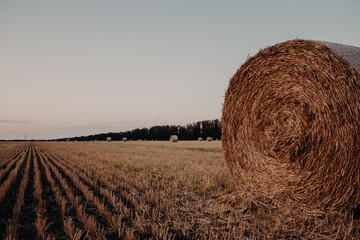 Cleaning fields in the Kuban. Haystack close-up in a harvested field during sunset in July against the horizon.