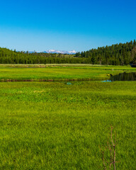 Yellowstone National Park