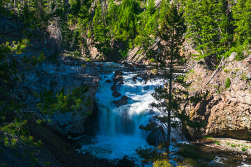 Firehole River, Yellowstone National Park