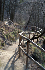 the hiking trail is fenced off by a wooden railing