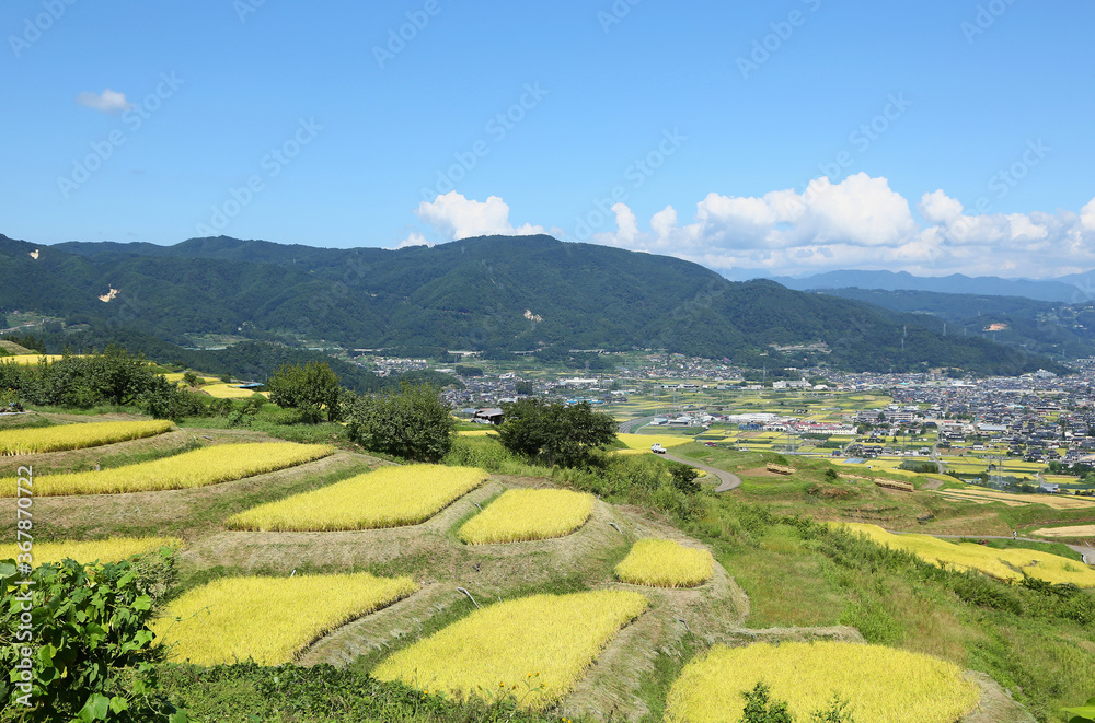 Poster 信州　姨捨の棚田