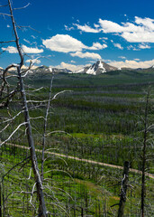 Yellowstone National Park