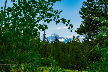Obraz premium Grand Teton National Park, Wyoming