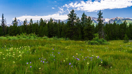 Grand Teton National Park, Wyoming