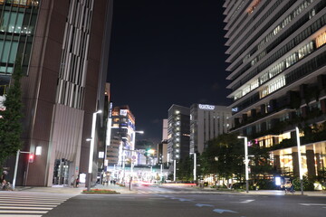 Fototapeta na wymiar 大都会東京の夜の街並み