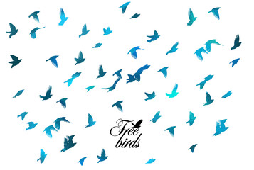 Bird watercolor. A flock of colorful birds. Mixed media. Vector illustration