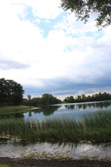 the river in the forest