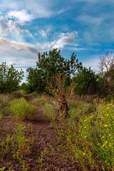 Ukraine, Krivoy Rog, the 16 of July 2020. Abandoned city park with beautiful clouds in the sky.