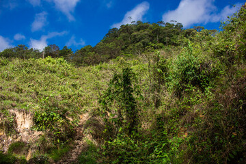 Colombian landscapes. Green mountains in Colombia, Latin America