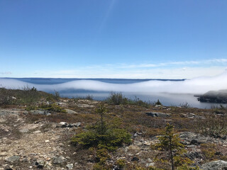 Rolling fog in Newfoundland