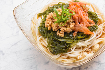 夏の味覚　栄養そうめん