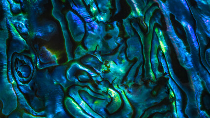 Brightly coloured New Zealand Paua shell patterns. Paua is a large mollusc found in coastal waters...