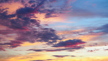 Obraz premium OLYMPUS DIGITAL CAMERA