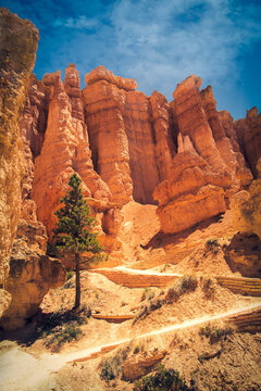 Canyan Images – Browse 72 Stock Photos, Vectors, and Video | Adobe Stock