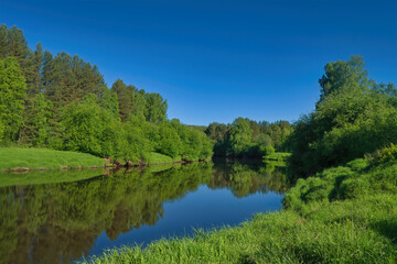 Beautiful summer landscape, forest trees are reflected in calm river water against a background of blue sky.