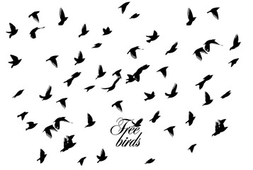 A flock of flying birds. Vector illustration