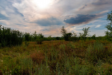 Obraz na płótnie Canvas Ukraine, Krivoy Rog, the 16 of July 2020. Abandoned city park with beautiful clouds in the sky.