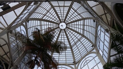 glass roof of a botanical garden