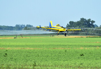 Yellow Crop Duster