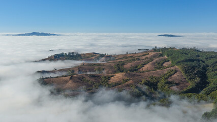 mountain landscape in the morning