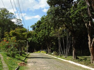 Obraz premium Guilherme Lage 7