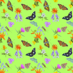 Various butterflies and wildflowers. Seamless pattern.