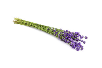 Fototapeta premium Bunch of natural lavender flowers isolated on white