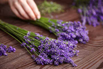 Florist sorting fresh lavender flowers for making a bouquet