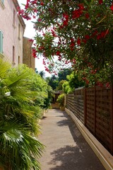 France Backyard Oasis