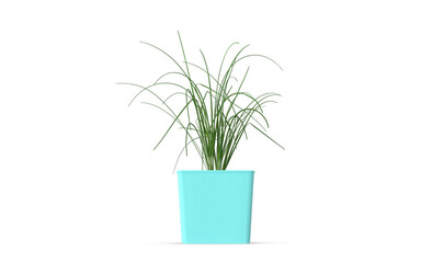 Isolated plant in pot on white background,realistic 3d illustration.
