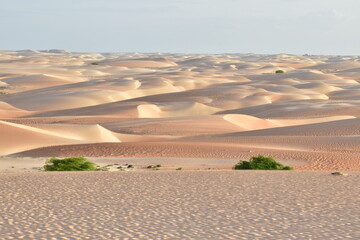 DUNAS DO ROSADO  / RIO GRANDE DO NORTE / DUNAS 