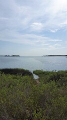 fishing on the river