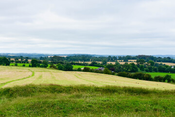 landscape with green field and blue sky