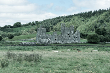 ruins of the old castle