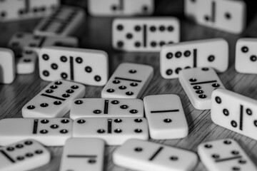 domino game for the whole family