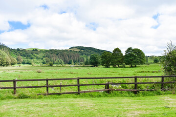 rural landscape with a fence