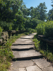 stone steps and wall surrounded by trees and bushes in park