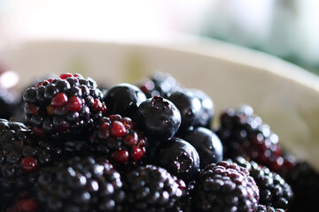 ブルーベリーとブラックベリー