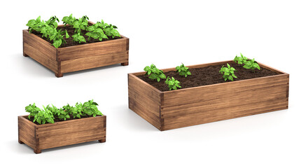 Fototapeta premium Wooden Raised Garden Beds. 3D Rendering. Wood box for grow