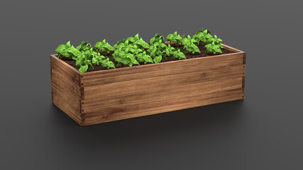 Wooden Raised Garden Beds. 3D Rendering. Wood box for grow