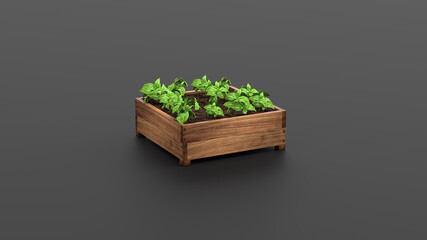 Wooden Raised Garden Beds. 3D Rendering. Wood box for grow